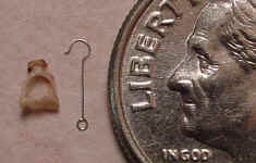 The size of the Stapes and Stapes Prosthesis Compared to a Dime