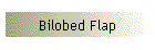 Bilobed Flap