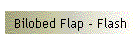 Bilobed Flap - Flash