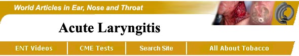 Laryngitis Video - Kevin Kavanagh